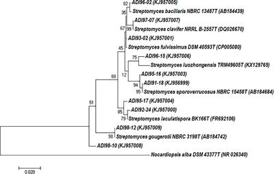 Streptomyces spp. From the Marine Sponge Antho dichotoma: Analyses of Secondary Metabolite Biosynthesis Gene Clusters and Some of Their Products